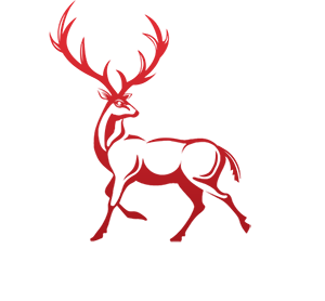 Cervinae - Modern E-commerce Website Template